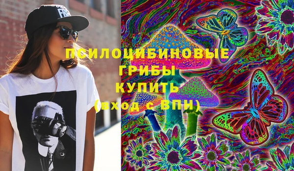 скорость Белокуриха