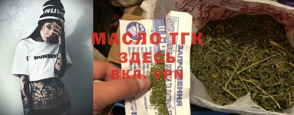 гидра Туринск