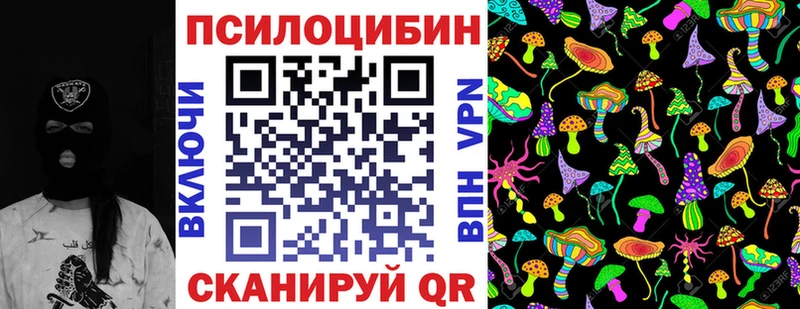 blacksprut как зайти  Вязьма  Псилоцибиновые грибы мицелий 