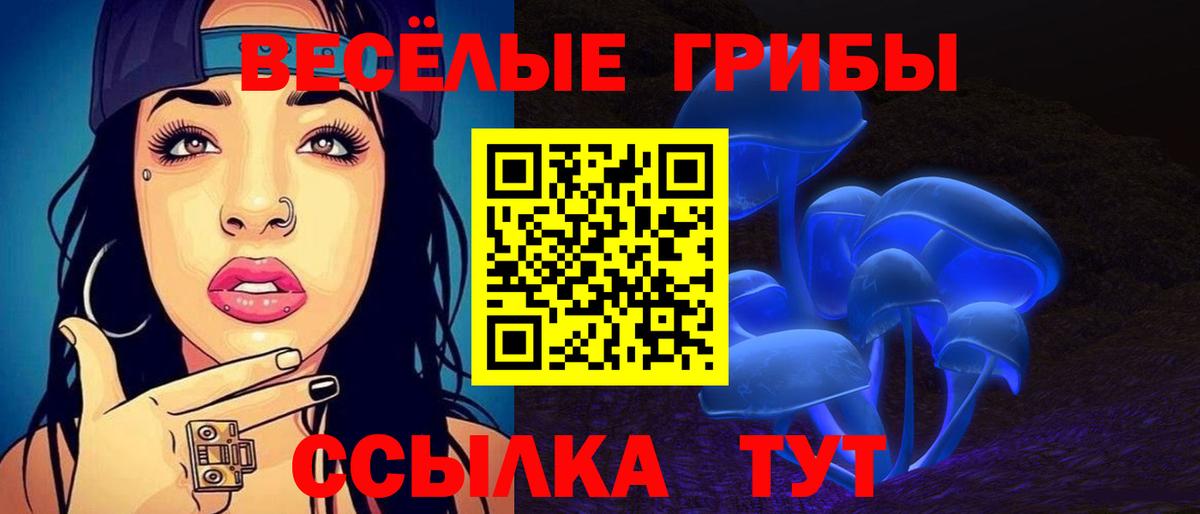 Вязьма  Галлюциногенные грибы MAGIC MUSHROOMS  Галлюциногенные грибы MAGIC MUSHROOMS  Вход с VPN 